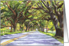 Oak Tree Tunnel card