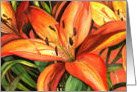 Tiger Lilies card