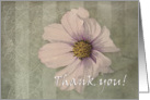 Thank you, flower card