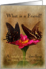 Friendship, flowers, butterflies card