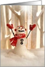 Christmas or holiday season, joyful snowman praising the Star of Bethlehem. card