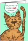 A little Mother’s Day humor from the cat to the crazy cat lady! card