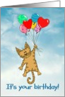 Adorable Tabby wants you to get carried away on your birthday! card