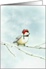 Sweet chickadee in red wool hat brings holiday warmth. card