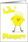 Chick Magnet, any occasion, humor card