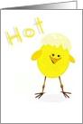 Hot Chick, humor, cute yellow chick card