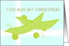 You are my sweetpea, blank card