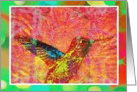 Brightly colored Hummingbird on green turquoise, floral background, blank note card