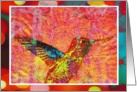 Brightly colored Hummingbird on red turquoise, floral background, blank note card