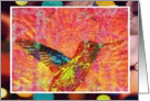 Brightly colored Hummingbird on dark colored, floral background, blank note card