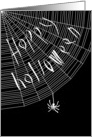 Happy Halloween creepy spider web with hanging spider! card