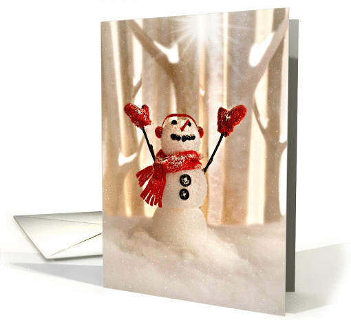 Christmas or holiday season, joyful snowman praising the... (1194502)