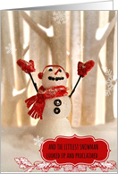 Christmas or holiday season, snowman wishing for joy and peace! card