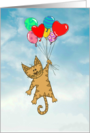 Tabby and balloons...
