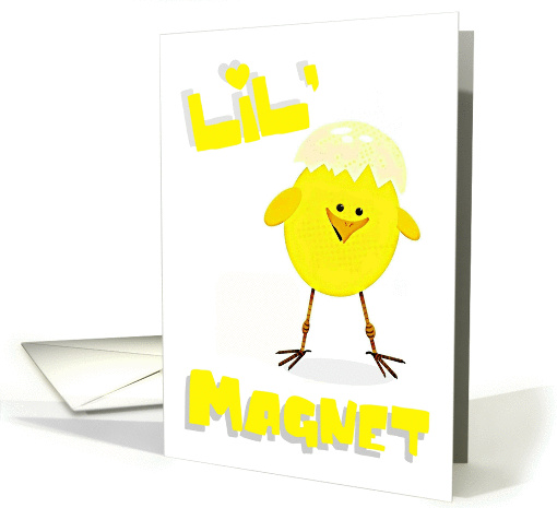 Chick Magnet, any occasion, humor card (872221)