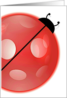 LadyBug! card
