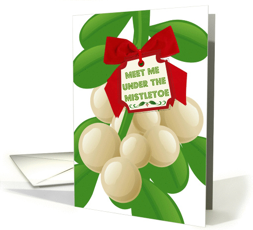 Meet me under the Christmas mistletoe for kisses! card (882392)