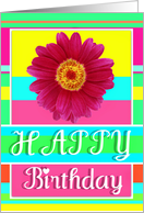 Happy Birthday pink Gerber Daisey with joy, love and laughter! card