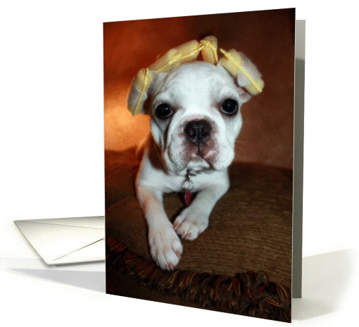 Happy birthday French Bulldog let's 'do up' your day,... (908279)