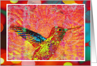 Brightly colored Hummingbird on red turquoise, floral background, blank note card
