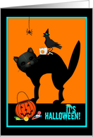 Halloween party invitation, black cat, crow and spider with goodies! card