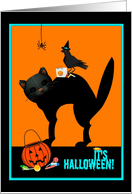 Halloween greeting, black cat, crow and spider with goodies! card