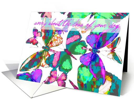 Sympathy over the loss of your dog, butterflies in flight. card