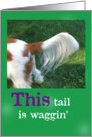 Thank You, This tail is waggin’ card