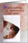 Is butt sniffing a bad habit card