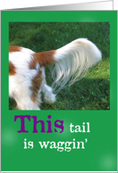 Thank You, This tail is waggin’ card