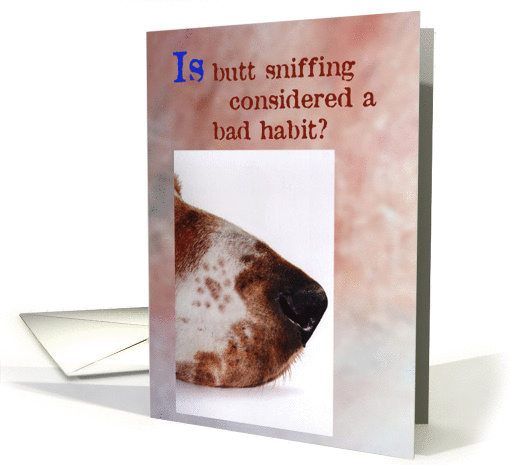Is butt sniffing a bad habit card (876229)