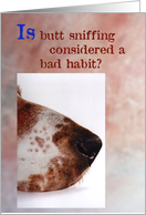 Is butt sniffing a bad habit card