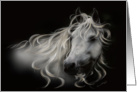 Fantasy White Stallion Card