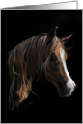 The Mare A Greeting Card for Horse Lovers, Blank Note Card