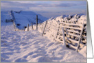 Snow covered wall in early morning light - Blank card