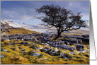 Winter scene, The Yorkshire Dales, limestone country - blank card