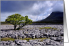 The Yorkshire Dales - Ingleborough from White Scar - Blank card