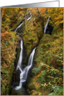 The Lake District, Cumbria - Stock Ghyll Force - Blank card