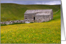 Summer meadow, yellow flowers and barn, The Yorkshire Dales - Blank card