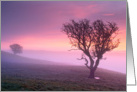 Pink misy sunrise with 2 trees, tranquil - customizable card