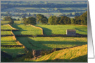 Early morning, barns and walls, The Yorkshire Dales - Customizable card