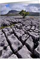 Ingleborough from White Scars, Yorkshire Dales - Blank card