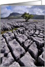 Ingleborough from White Scars, Yorkshire Dales - Blank card