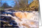 Stainforth Force, waterfall, cascade, The Yorkshire Dales - Blank card