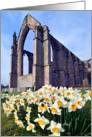 Bolton Abbey ruins, Wharfedale, The Yorkshire Dales - Blank card