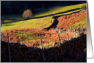 Langdale Lane, Sunshine and Shade, The Lake District - Blank card