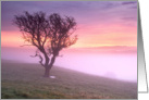 Lone tree and pink misty sunrise - Blank card