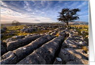 Birthday, Limestone Pavement and lone tree - The Yorkshire Dales card