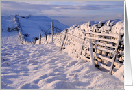 Snow covered wall in early morning light - Blank card