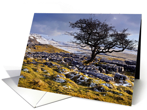 Winter scene, The Yorkshire Dales, limestone country - blank card